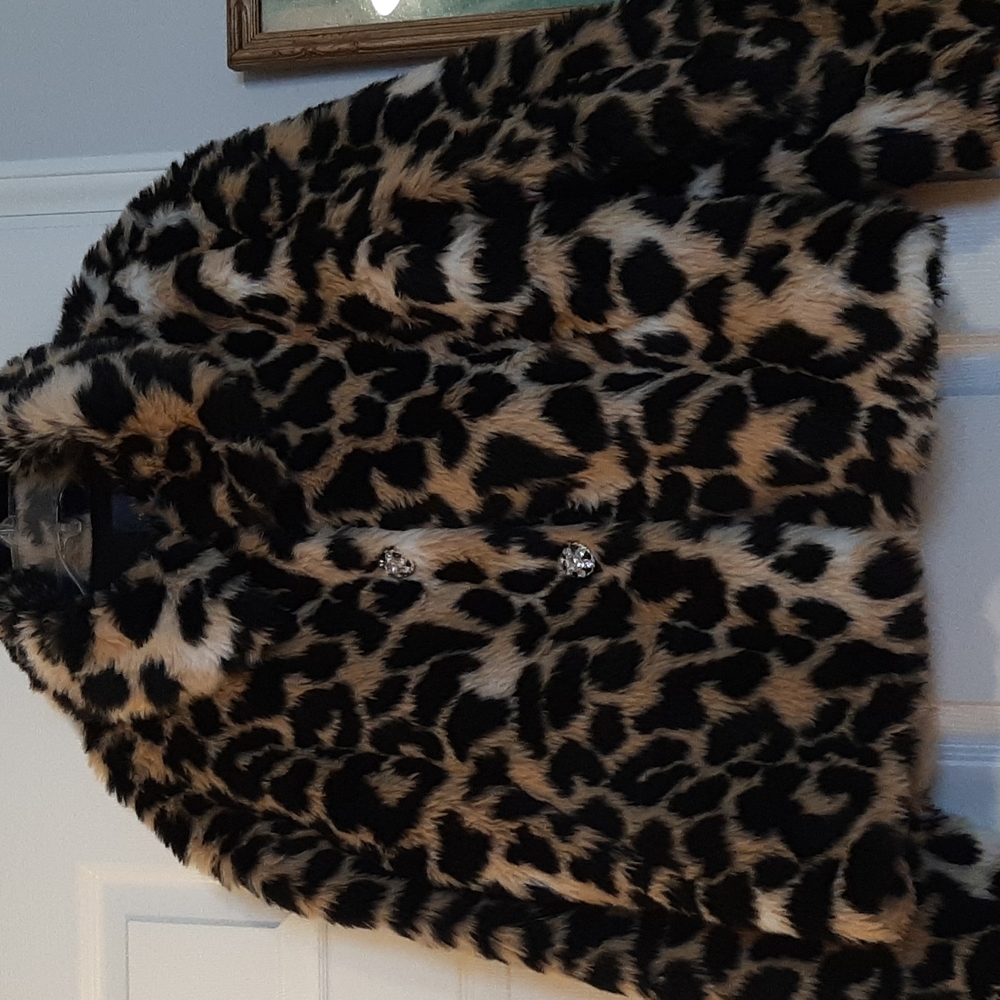 Faux Fur Coat